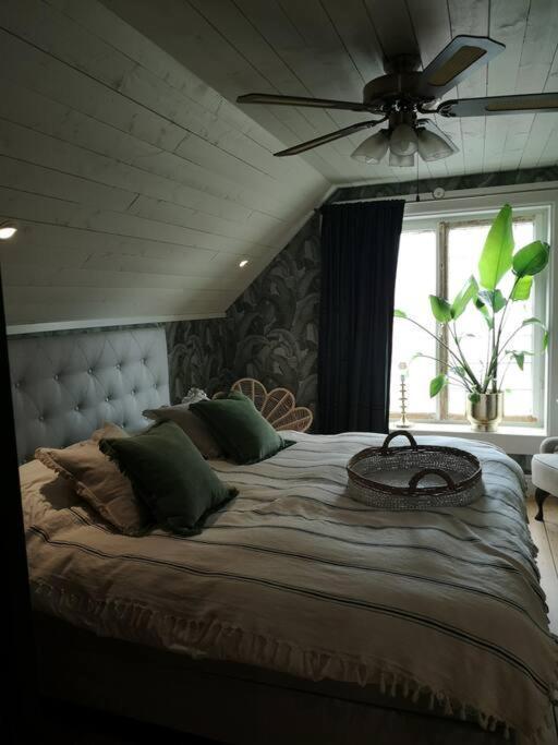 Mojo Organic Spa Borgholm Eksteriør billede